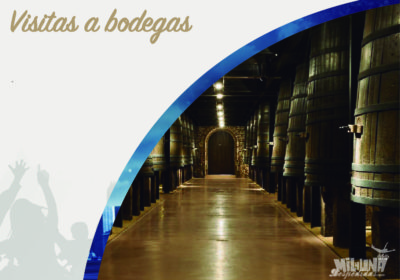 Visita a bodegas de Rioja para despedidas