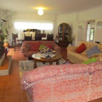 IMG_2178 (Copiar)