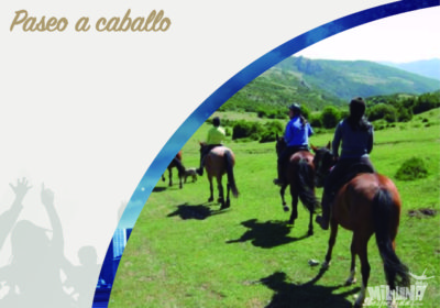 Paseos a caballo en Logroño